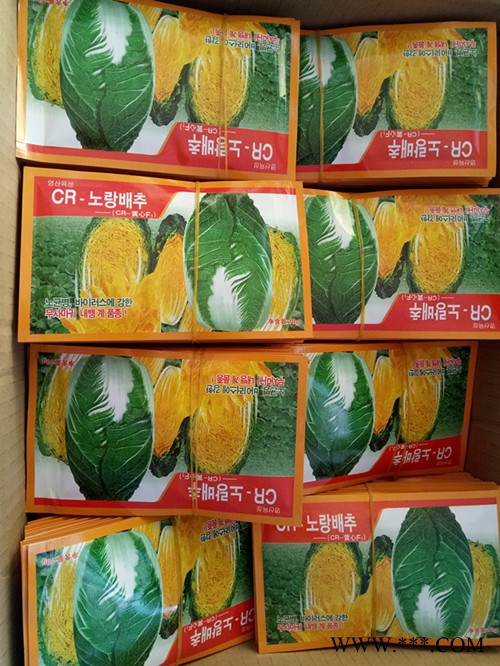供应韩国CR黄心白菜种子