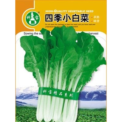 供应四季小白菜—青梗菜种子
