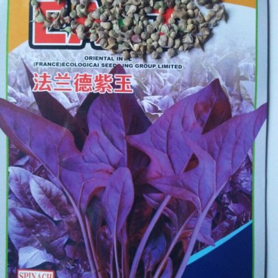 供应紫色菠菜种子