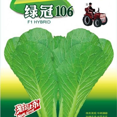供应绿冠106——杂交青梗快菜系列—青梗菜种子