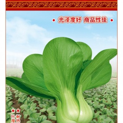 供应夏冠——青梗菜种子