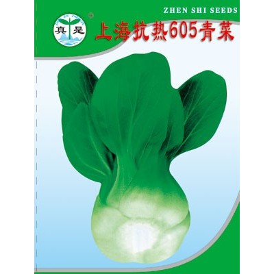 供应上海抗热605—青梗菜种子