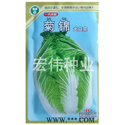 供应菊锦—白菜种子