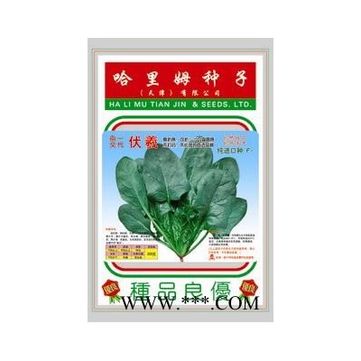 供应伏羲—菠菜种子