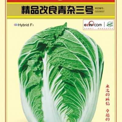 供应精品改良青杂三号—白菜种子