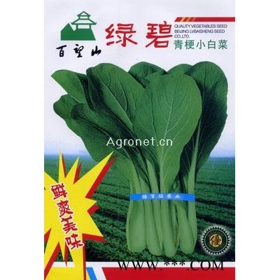 绿碧青梗小白菜—青梗菜种子