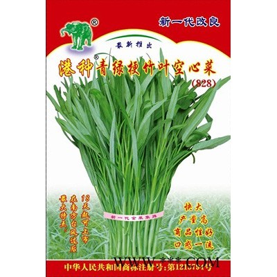 供应港种青绿梗竹叶空心菜(828)——青梗空心菜种子