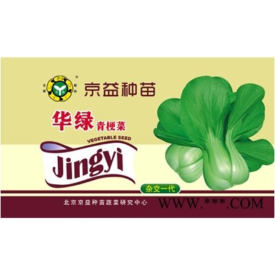 供应华绿青梗菜—油菜种子
