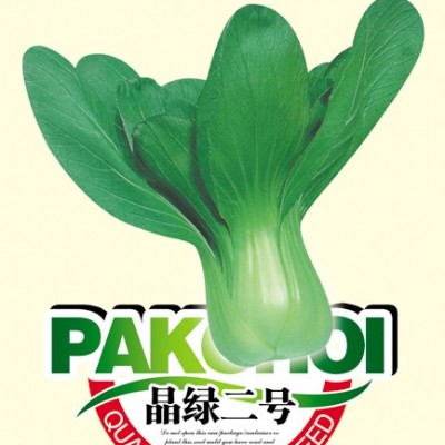供应晶绿二号—青梗菜种子