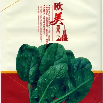 供应欧美菠菜王——菠菜种子