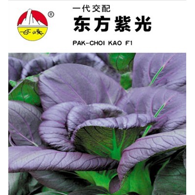 供应东方紫光——青梗菜种子