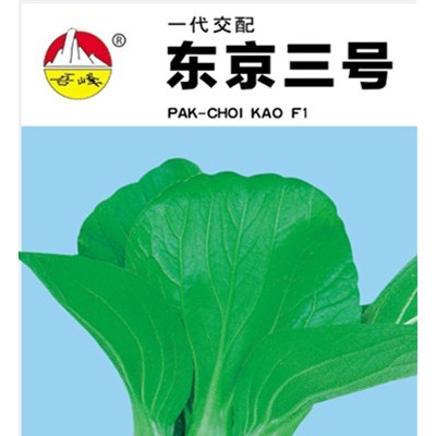 供应东京三号——青梗菜种子
