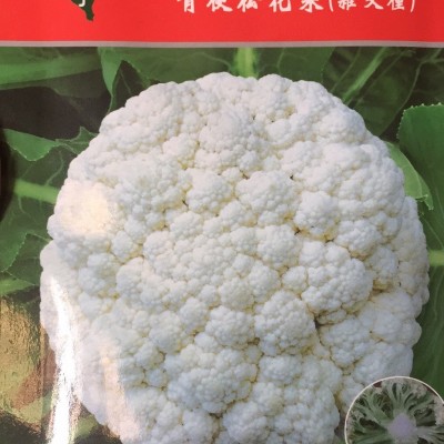 供应台湾明星65天—花椰菜种子