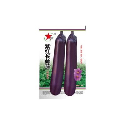 供应紫红长帅茄—茄子种子