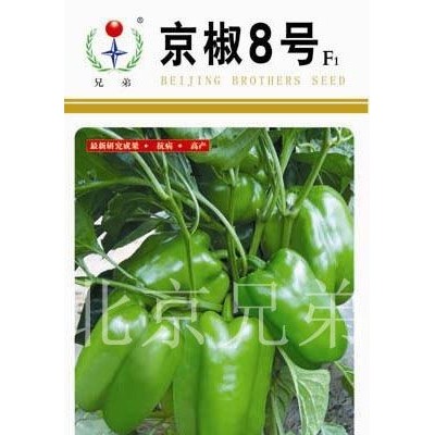 供应京椒8号—甜椒种子