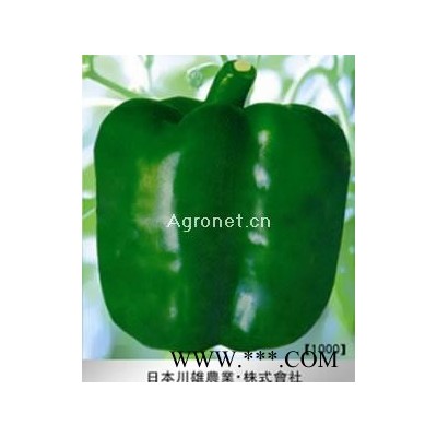 供应川雄F19—甜椒种子