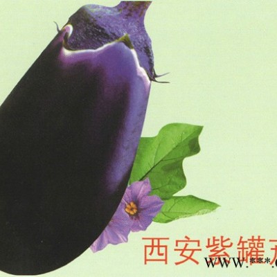 供应西安紫罐茄—茄子种子