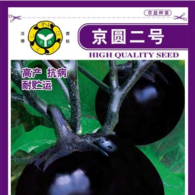 供应京圆二号—茄子种子