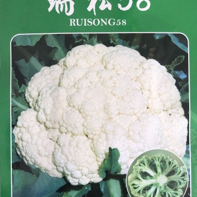 供应瑞松58—花椰菜种子