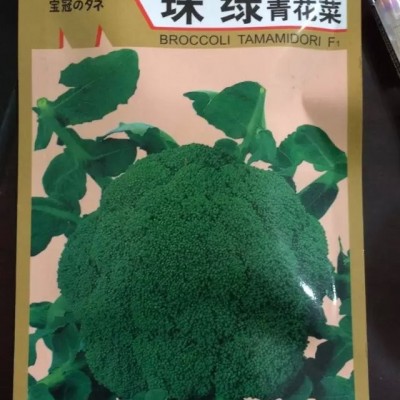 供应珠绿西兰花—青花菜种子