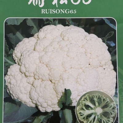 供应瑞松65—花椰菜种子