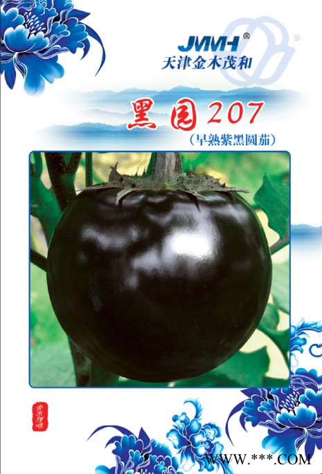 供应黑园207—茄子种子