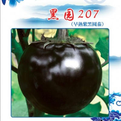 供应黑园207—茄子种子