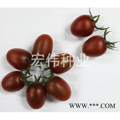 供应紫千禧樱桃番茄种子