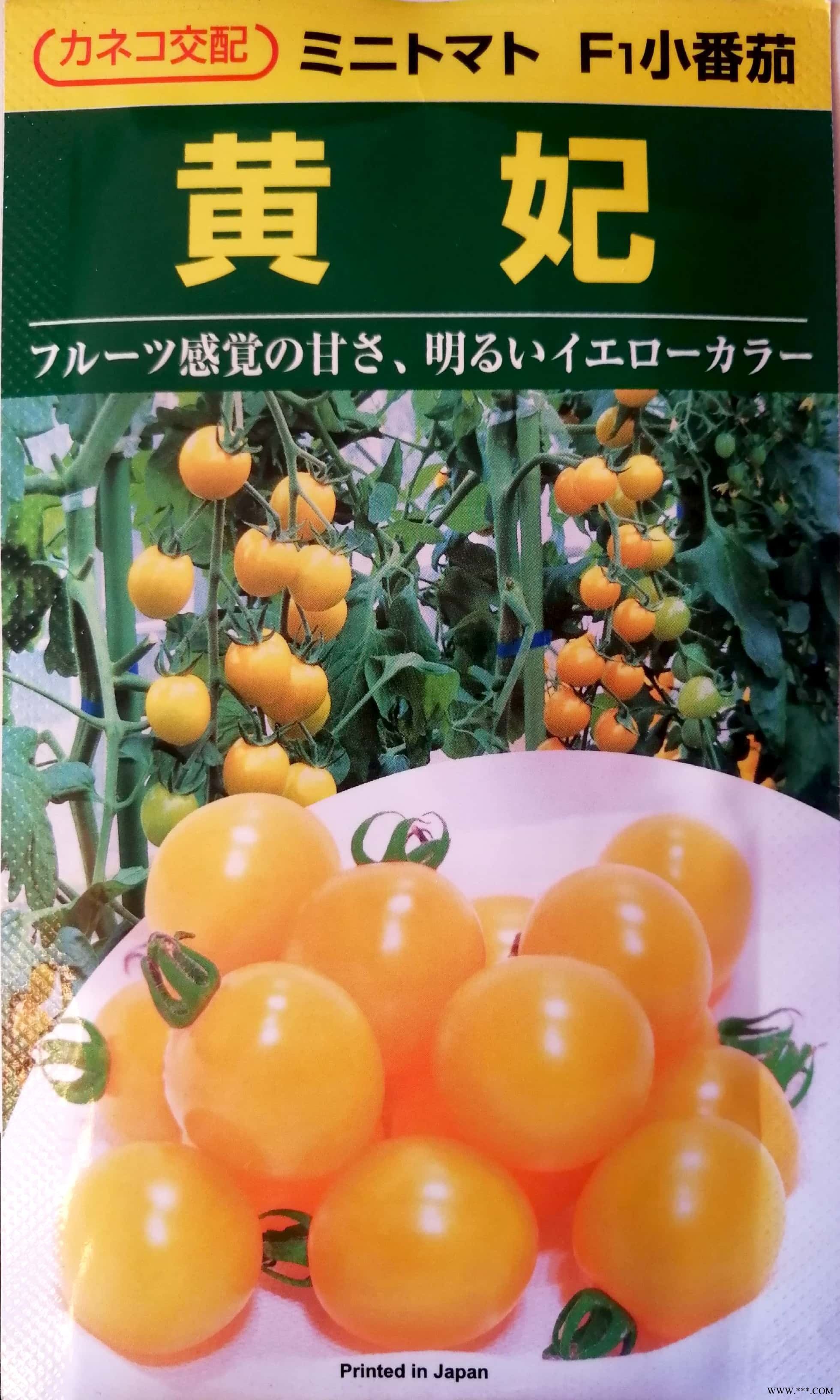 供应日本原装进口黄妃樱桃番茄种子