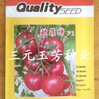 供应欧菲特—番茄种子