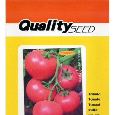 供应粉迪F1-番茄种子