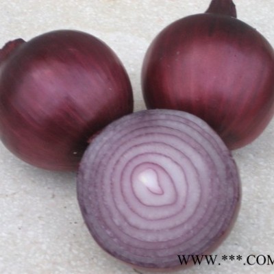 供应紫玉—洋葱种子