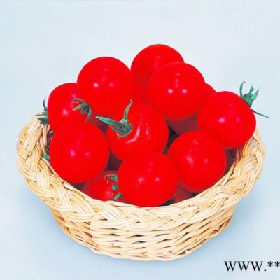 供应红妃小番茄—番茄种子