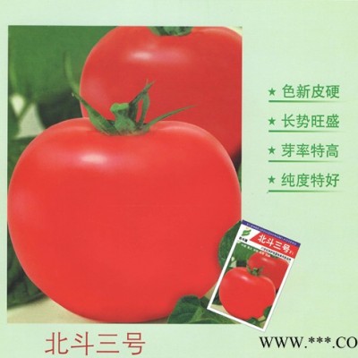 供应北斗三号—番茄种子