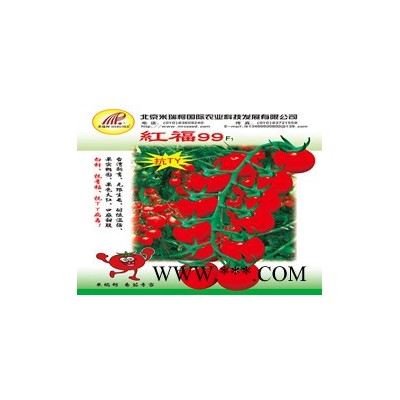 供应红福99—番茄种子