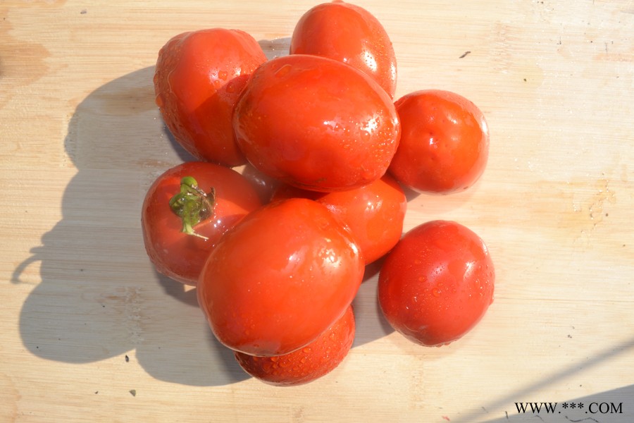 供应骋辉82号—番茄种子