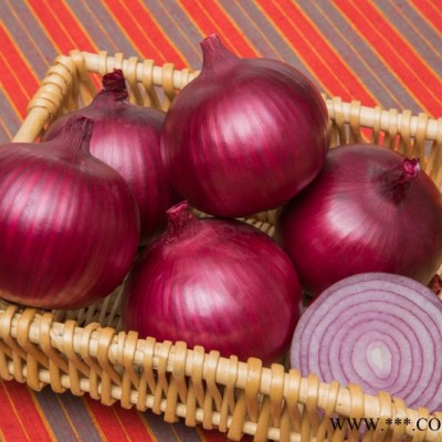 供应紫威—洋葱种子