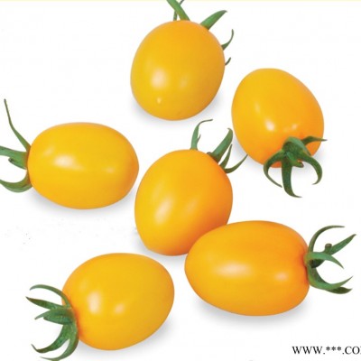 供应黄榕番茄种子