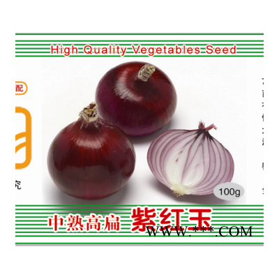 供应中熟高扁紫红玉——洋葱种子