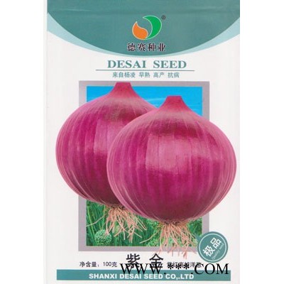 供应紫金—洋葱种子