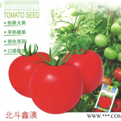 供应北斗鑫澳—番茄种子