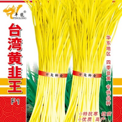 供应台湾黄韭王—韭菜种子