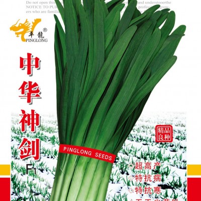 供应中华神剑—韭菜种子
