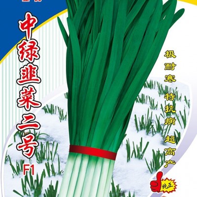 供应中绿韭菜二号F1种子—韭菜种子