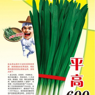 供应平高600—韭菜种子