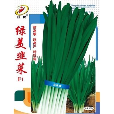 供应绿美韭菜F1—韭菜种子