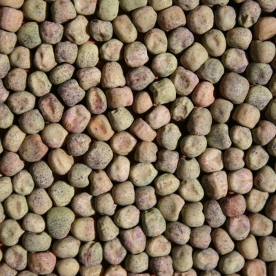供应麻豌豆