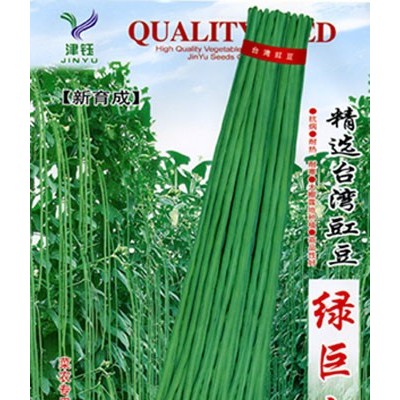供应绿巨人（台湾）—豇豆种子