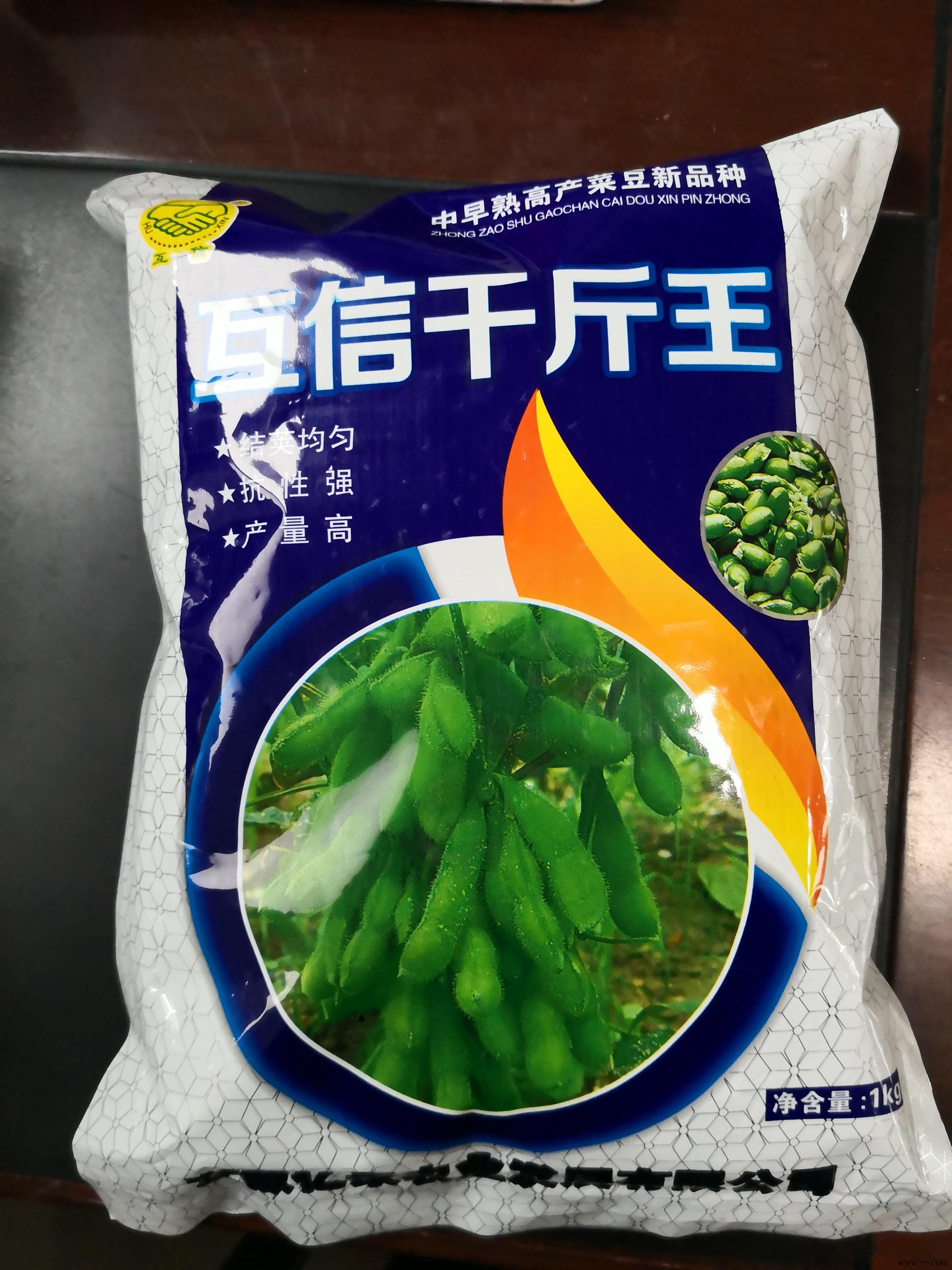 供应互信千斤王—菜豆种子