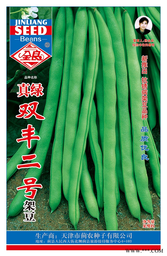 供应真绿双丰二号架豆 ——菜豆种子